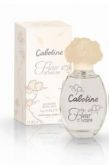 CABOTINE FLEUR D'IVOIRE 100ml